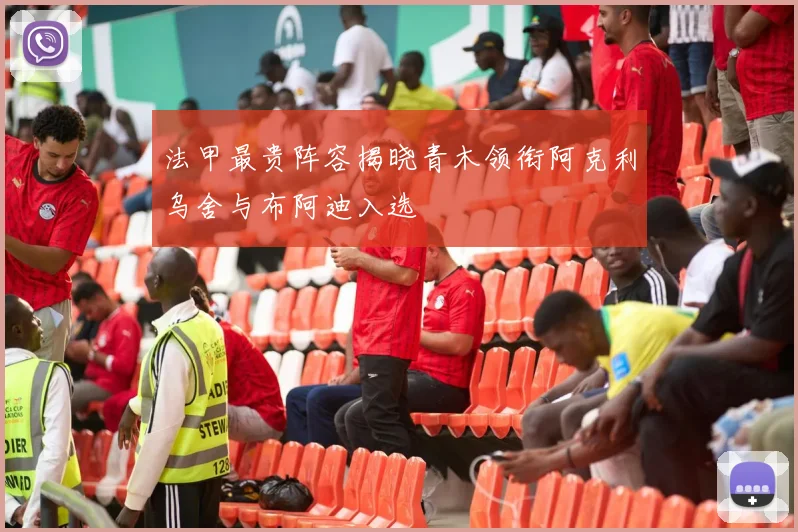 法甲最贵阵容揭晓青木领衔阿克利乌舍与布阿迪入选