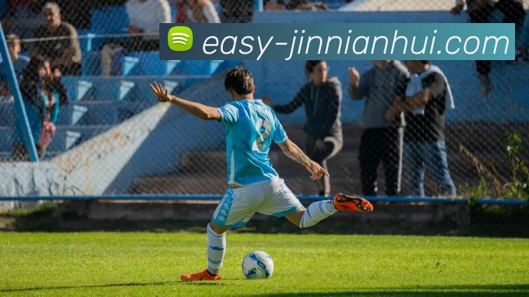 今年会官网全站App